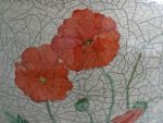 poppies detail