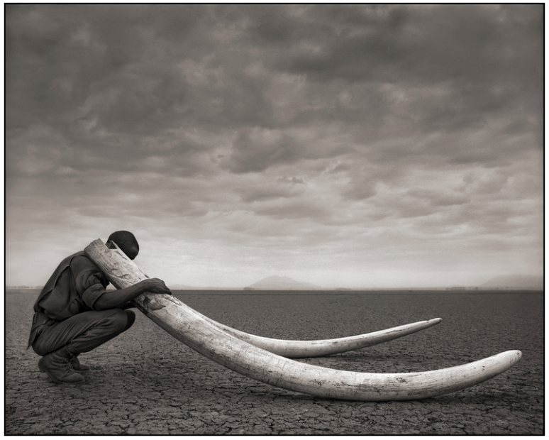 ©nick brandt, Ranger with tusks of killed elephant, amboseli, 2011