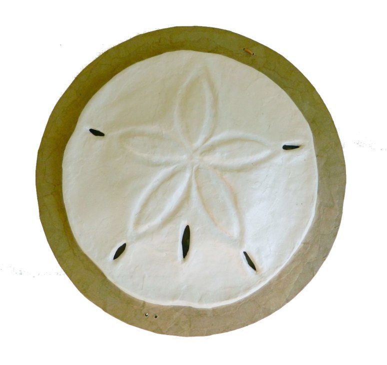 Sand Dollar